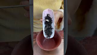 Chinese black tea brewing guide