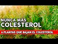 6 Plantas que bajan el COLESTEROL de forma natural - Cómo usarlas y cómo cultivarlas en tu jardín