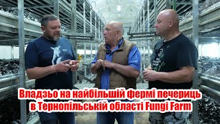 Владзьо на найбільшій фермі печериць в Тернопільській області Fungi Farm