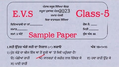 Pre Board Exam #class5 Environmental Studies Sample paper #cbse #solved #class-5