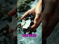 Https Youtu Be AQuDu HT1L0 Si DcsZEVv5L5HE7s0X 