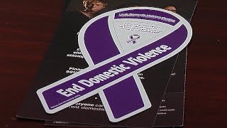 IN FOCUS Discussion: Funding Utah's Domestic Violence Shelters