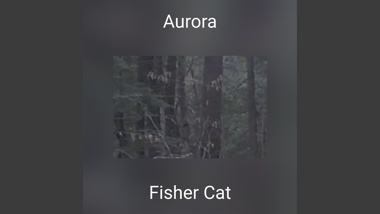 Watch Aurora (remastered 2025) on YouTube Watch Aurora (remastered 2025) on YouTube