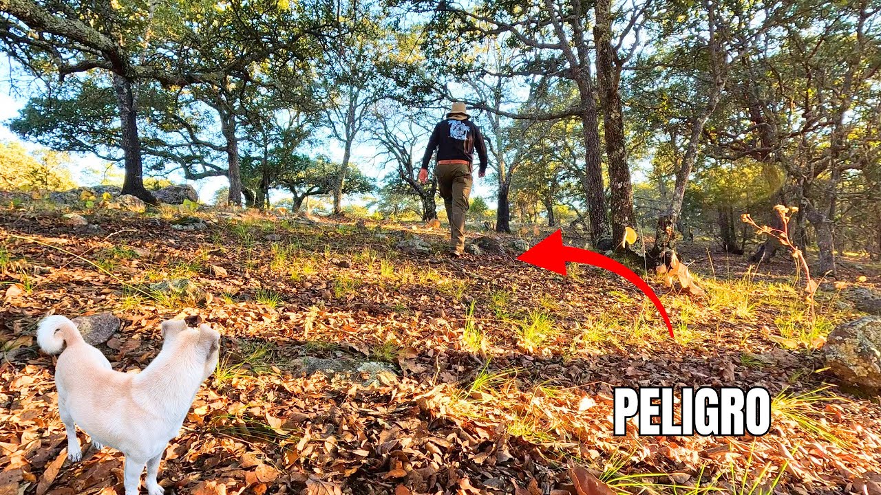 NUNCA PENSE QUE PERDERÍA EN LA MONTAÑA, BUSCANDO EL ATARDECER