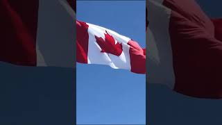 La Reserva De Mariposas Monarcas En México