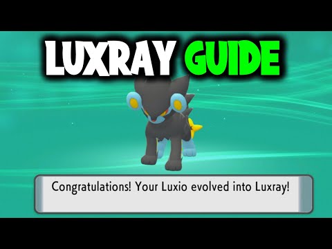 ვიდეო: რა დონეზე ვითარდება Luxray?