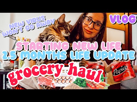 4 DAY VLOG |  GROCERY HAUL. STARTING NEW LIFE - 2.5 MONTHS LIFE UPDATE. NEW VIRUS WON’T GO AWAY.