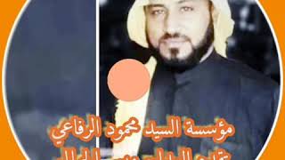 المداح ميسر الحيالي حربي بحق الباز الاشهب 2020