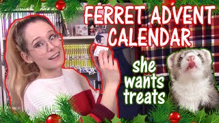 Making my Ferrets a Christmas Advent Calendar