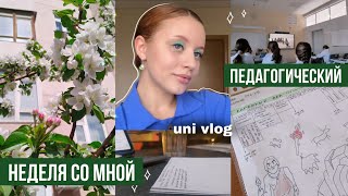 подготовка к сессии *vlog* продуктивная неделя /study with me