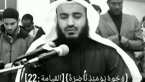 كلا بل تحبون العاجلة وتذرون الاخره وجوه يومئذ ناظره الى ربها ناظره سورة القيامة مشاري العفاسي