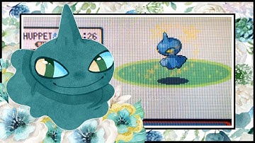 LIVE!! Shiny Shuppet after 1,940 REs in Sapphire (DTQ #3)