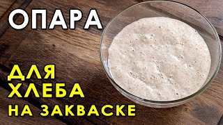 Что такое ОПАРА для теста? Как приготовить опару на закваске для домашнего бездрожжевого хлеба