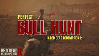 RDR2: Perfect Bull Hunt Guide | For Outfits | Red Dead Redemption 2 2025 Gameplay