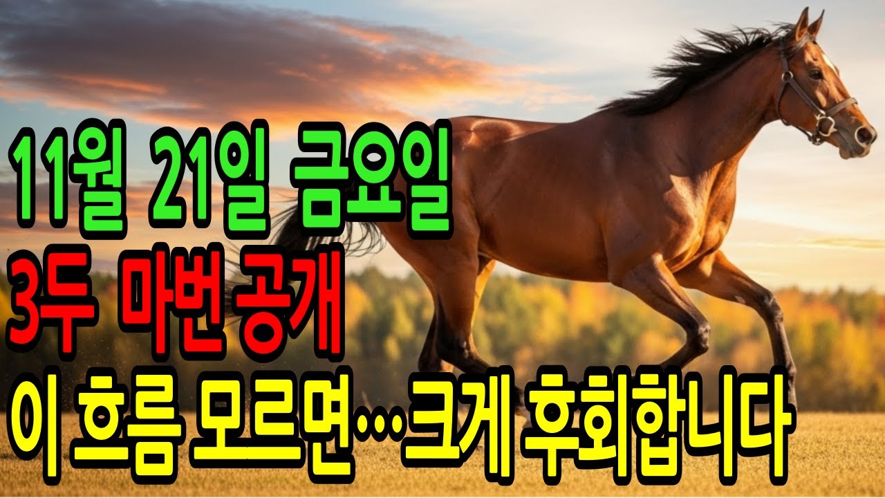 11월 21일 금요일 경마~“이 전개 흐름을 지금 놓치면 오늘 베팅 전체를 후회합니다”ㅣ승전경마 전문가의 이변 포착 l 경마 l 경마예상 l 코리아레이스 l 검빛경마 ㅣ경마정보