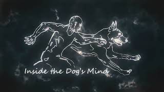 Reload it - Inside the Dog's Mind by Inside the Dog's Mind 1,478 views 1 year ago 10 minutes, 41 seconds