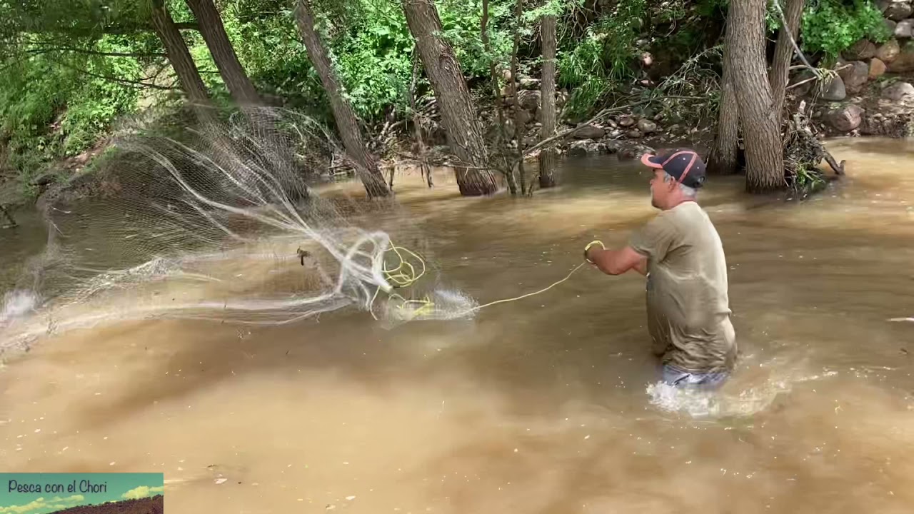 Miren qué pesca y que rico caldo