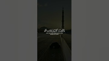 سورة الزمر| القارئ عبد الرحمن مسعد