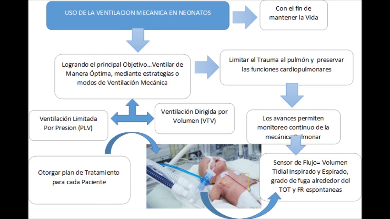 Fases De La Ventilacion Mecanica En Neonatos www.youtube.com