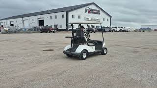 2013 Yamaha 2-Passenger Golf Cart