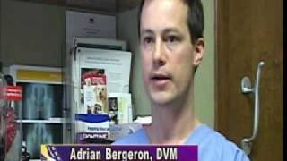 LSU Vet School helps those dealing with loss of a pet
