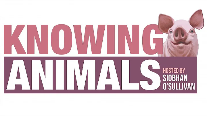 Episode 195: Animal critical theory with Alice Cra...