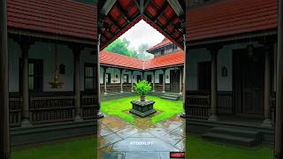 Tulasi 🌿 | A Calm Kerala Home Story                   #ai #anime #studioghibli