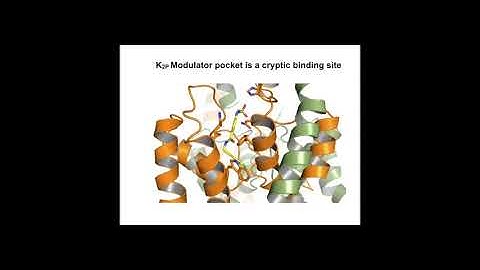 Prof. Daniel Minor - K2P channel gating caught in the act