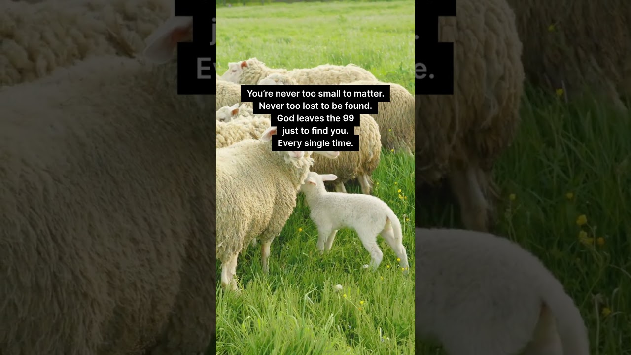 Matthew 18:1-14 | The greatest in the Kingdom of Heaven | God leaves the 99 just to find you