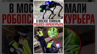 🤯 КиберМосква 2077: Задержан РОБОПЁС-НАРКОКУРЬЕР!