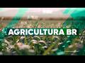 Agricultura BR 3ª Edição | 12/06/2026