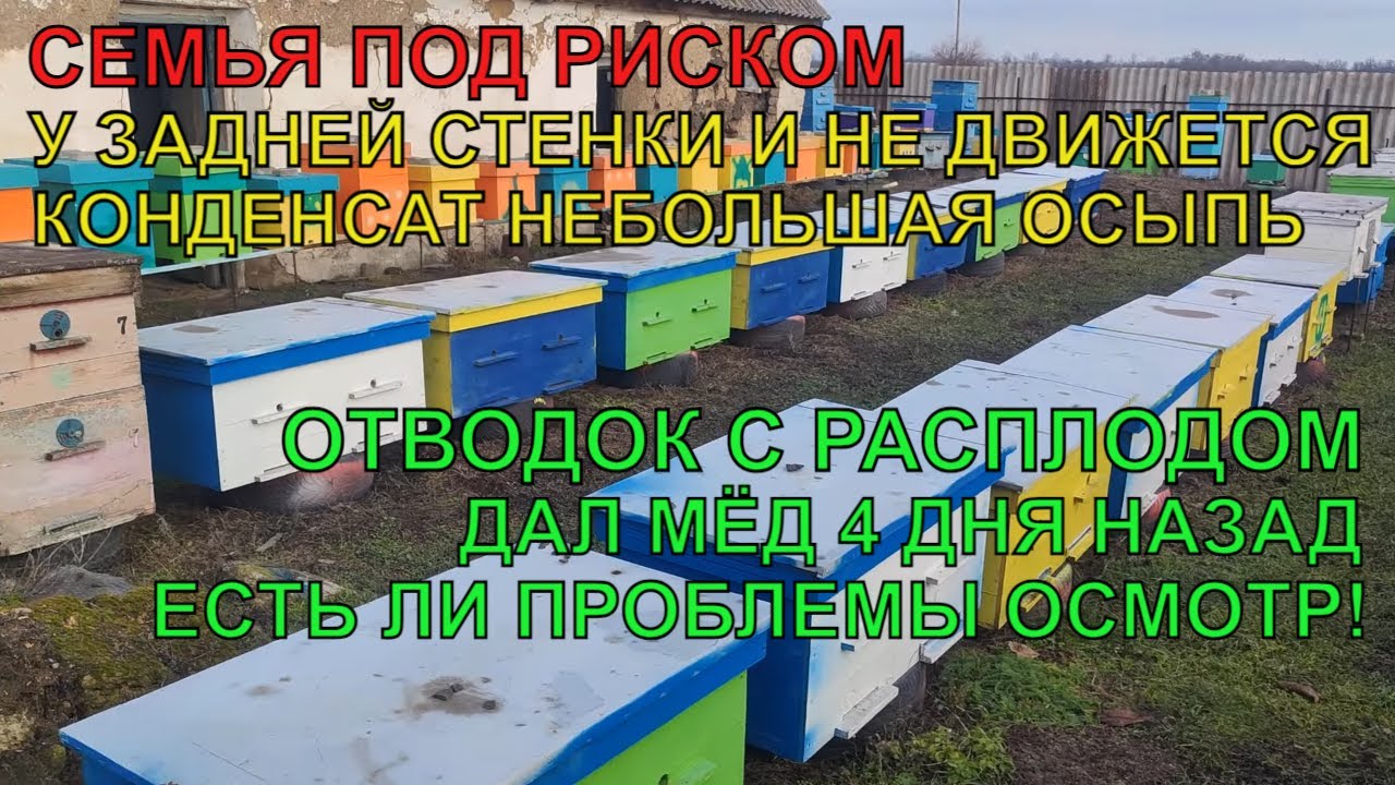 Новая ПРОБЛЕМА КОНДЕНСАТ ОСЫПЬ ПЧЁЛ У ЗАДНЕЙ СТЕНКИ НА МЕСТЕ отводок с ...