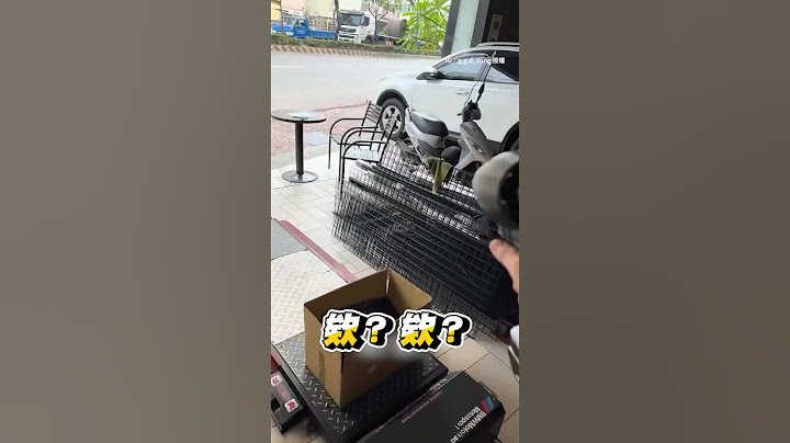 落跑出去的貓如何找到？ 飼主開啟吹風機秒招回XD｜#寵物雲 #shorts
