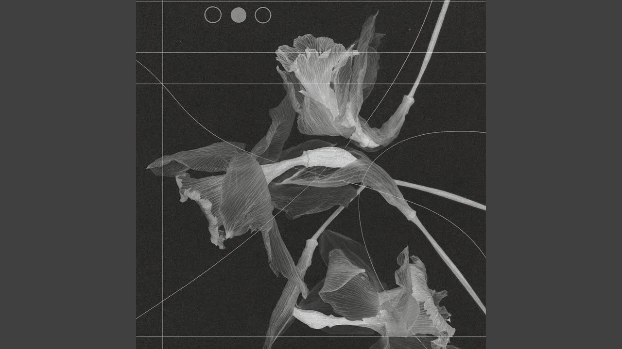 Watch transience on YouTube Watch transience on YouTube