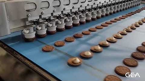 CAPPTRONIC From GEA COMAS