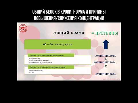 Общий белок в крови: норма и причины снижения/повышения концентрации