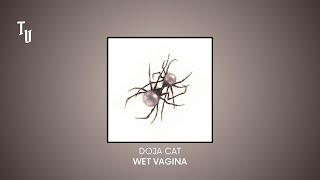 Doja Cat | Wet Vagina | Slowed + Reverb Resimi