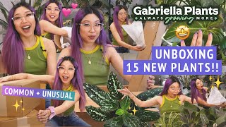 HUGE UNBOXING!! 15 NEW DELIGHTFUL HOUSEPLANTS  super common to very weird ✨ GABRIELLA PLANTS