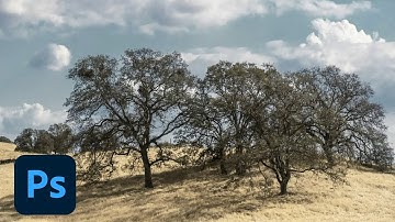 7 Ways to Get the Most Out of the History Panel in Photoshop | Adobe Photoshop