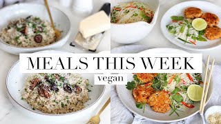 3 Favourite Meals This Week (Vegan) | JessBeautician by Jess Beautician 89,092 views 2 years ago 16 minutes