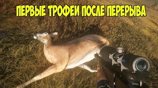 theHunter Call of the Wild #9 НЕ ПОТЕРЯЛ Я НАВЫКИ )) ВЗГЛЯД ПО НОВОМУ!