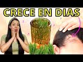 EL CABELLO CRECE COMO LOCO Y NO SE CAE😱LA MEJOR RECETA DEL MUNDO PARA CRECER CABELLO😍