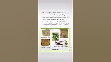 مراحل جمع القران الكريم #القرآن_الكريم #مسلمين_جميع_دول_العالم #تاريخ_وقصة #اكسبلور
