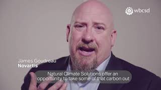 Gsfa 2018 World Business Council For Sustainable Development The Natural Solution