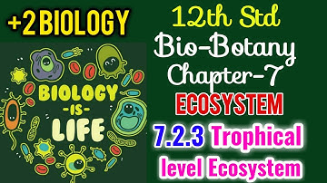 TN 12TH BIO-BOTANY CHAPTER-7 ECOSYSTEM II 7.2.3 CONCEPTS OF TROPHIC LEVEL IN AN ECOSYSTEM +2 BOTANY