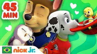 Patrulha Canina | 45 Minutos de Resgates de Filhotinhos com a Patrulha Canina! Parte 2 | Nick Jr.