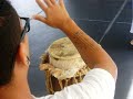 04.03.2017 - Oficina de Dança afro-brasileira e Afro-Contemporânea