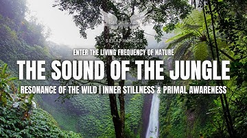 Resonance of the Wild | Inner Stillness & Primal Awareness | Seraphonics