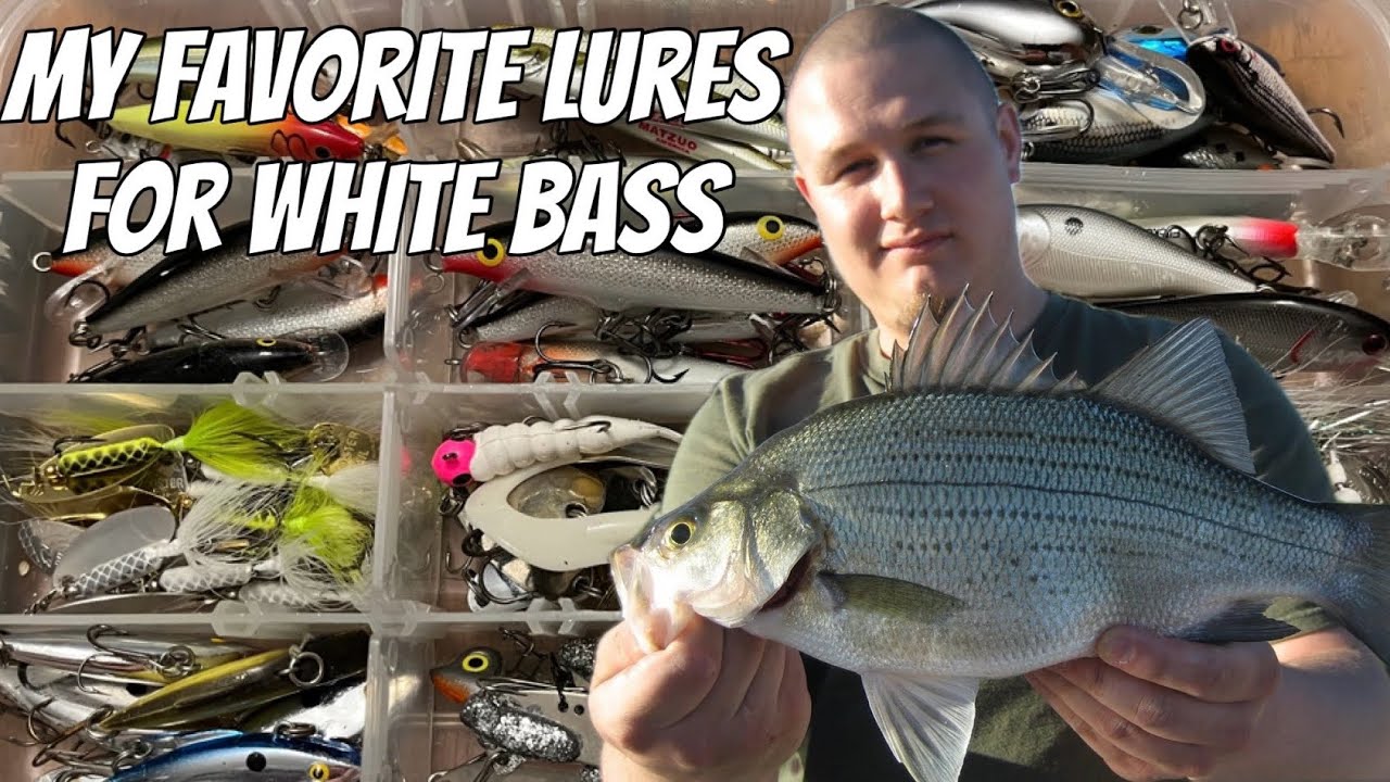 Best Lures For White Bass: Our Picks For White Bass Success - USAngler