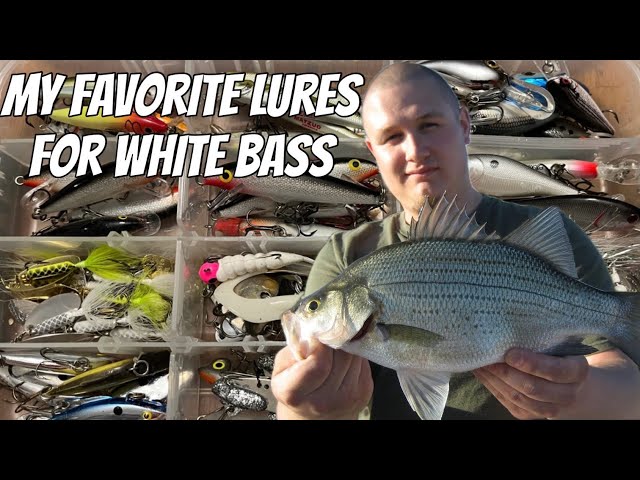 Spring White Bass Fishing  My Favorite Lures for White Bass! 